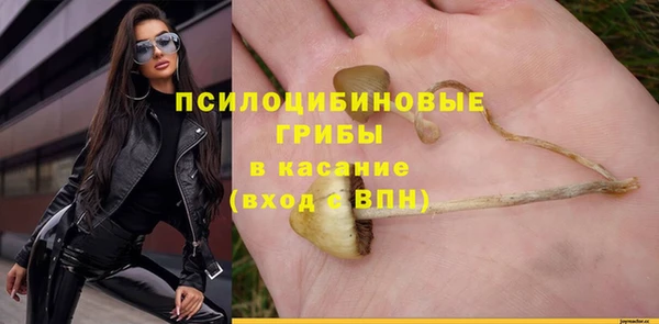 бошки Магас