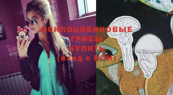 бошки Магас