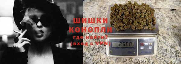 гидра Майский
