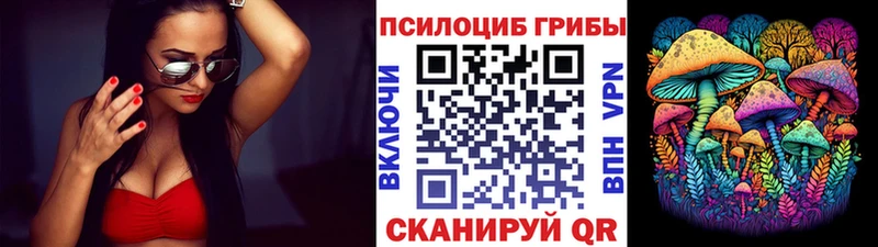 Псилоцибиновые грибы Magic Shrooms  ОМГ ОМГ зеркало  Устюжна 